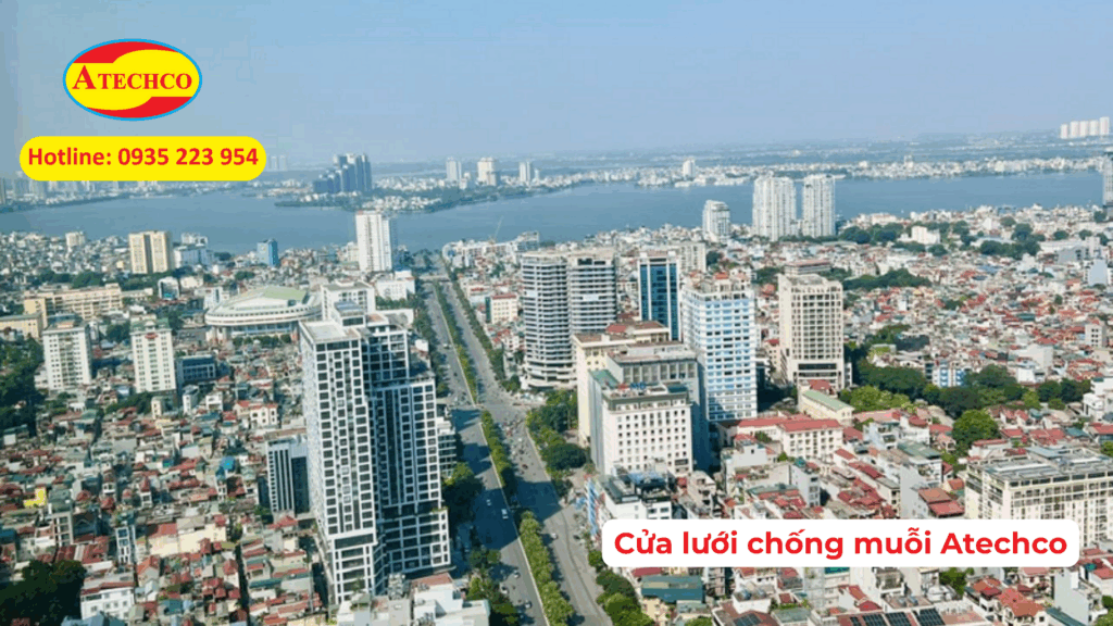 Tổng quan về quận T&acirc;n B&igrave;nh