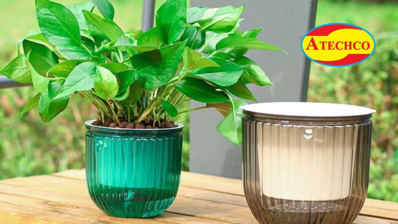 Loại bỏ nước đọng