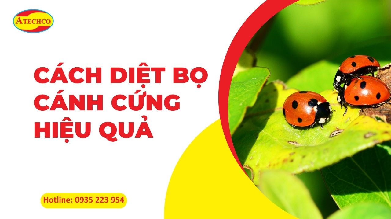 Cach-diet-bo-canh-cung-hieu-qua